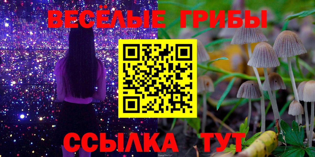 Галлюциногенные грибы Psilocybine cubensis  как найти   Новошахтинск  Вход с VPN 